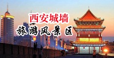 插女生逼里网站中国陕西-西安城墙旅游风景区